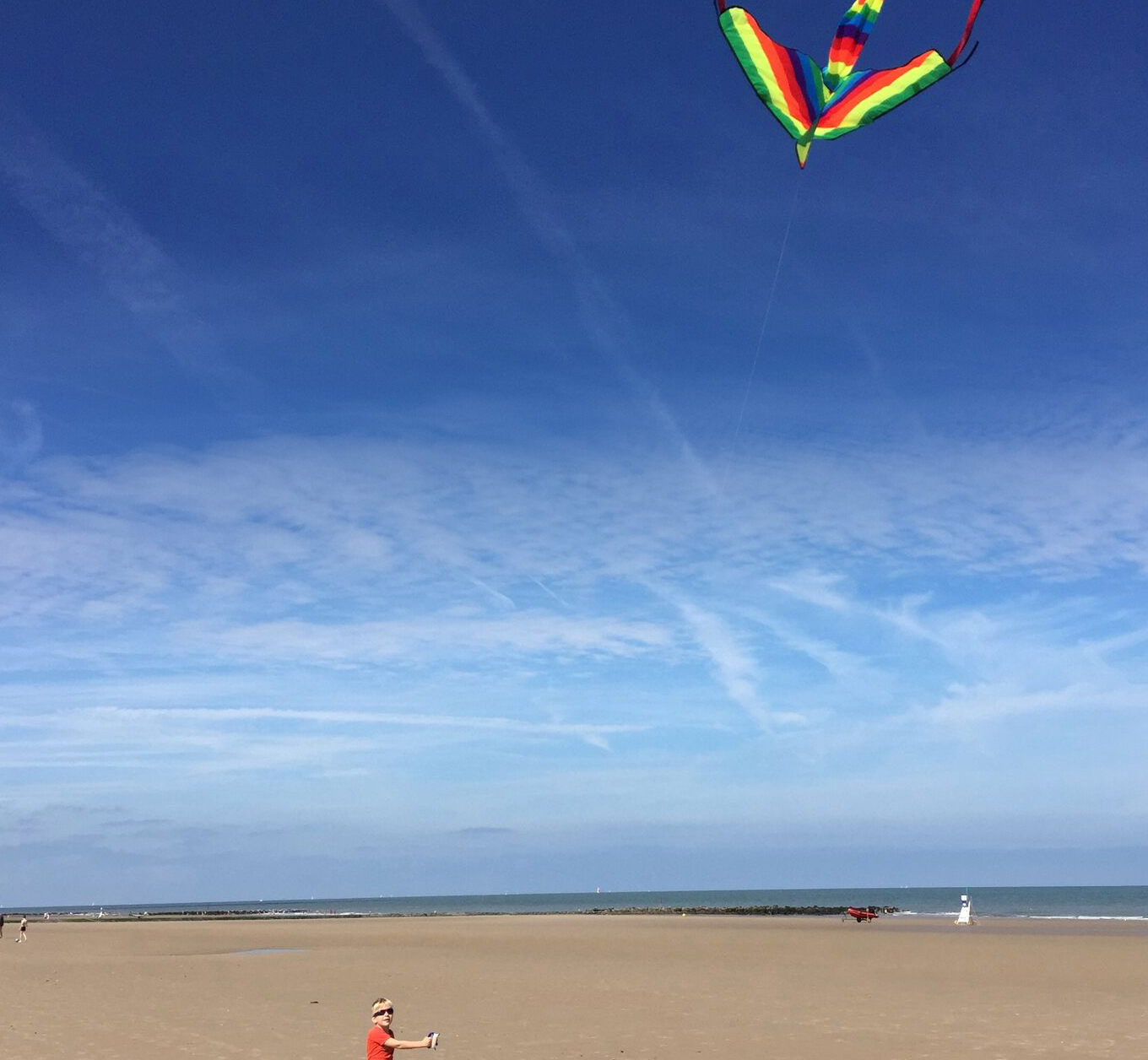 Owl Image strand-middelkerke